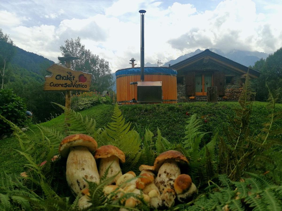 Chalet Cuore Selvatico Monno المظهر الخارجي الصورة