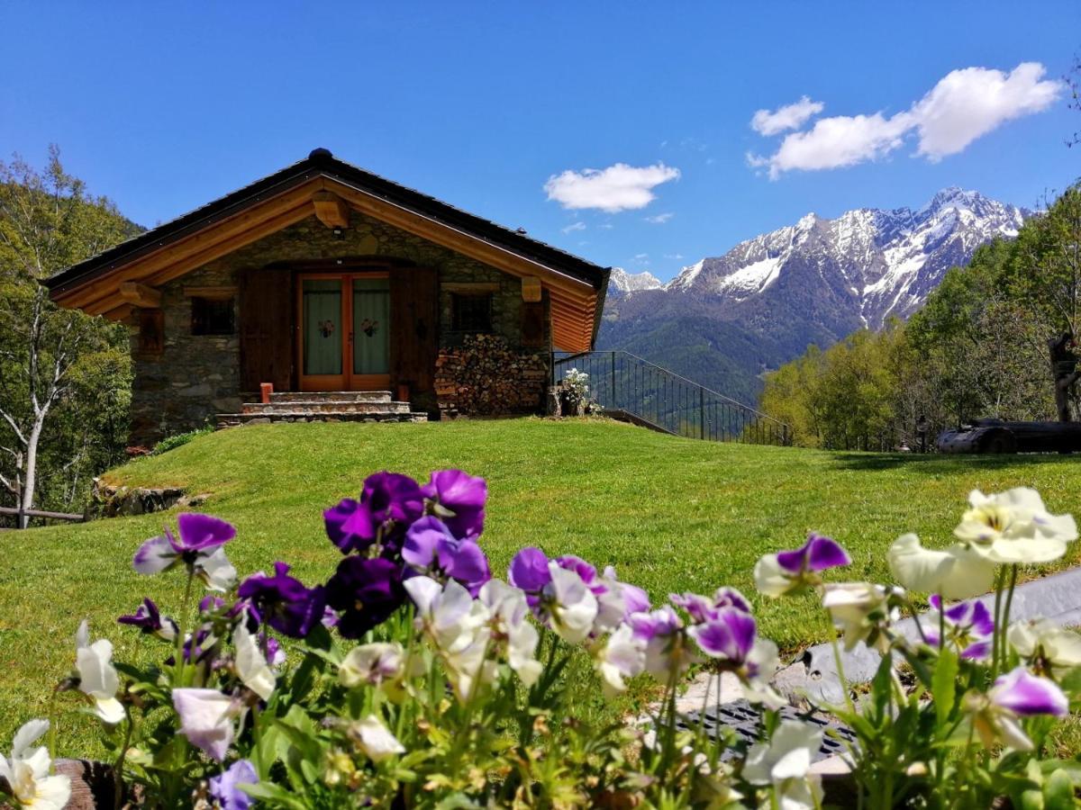 Chalet Cuore Selvatico Monno المظهر الخارجي الصورة